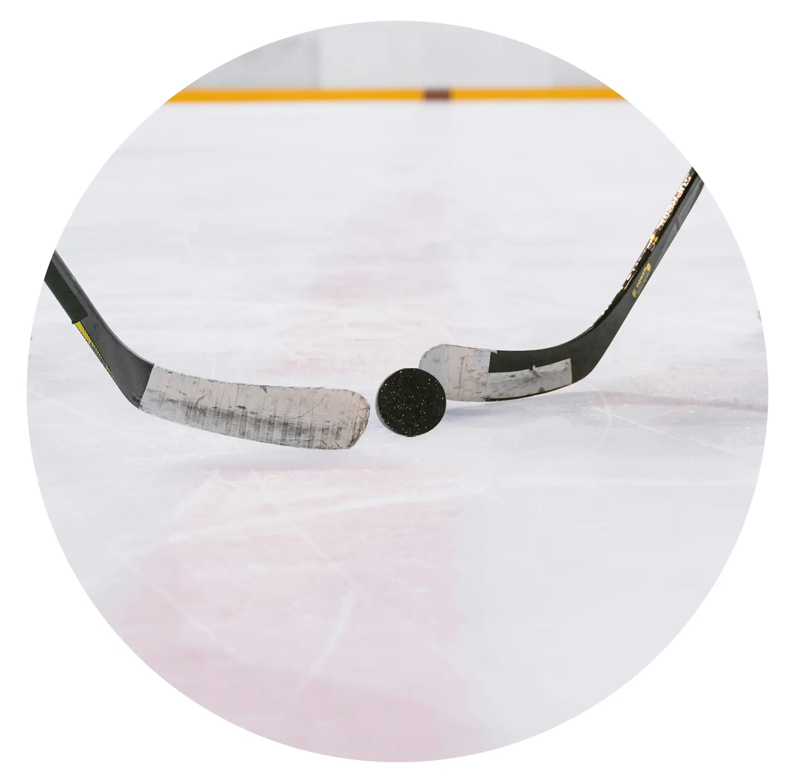 Hockey puck and stick Image Screenshot